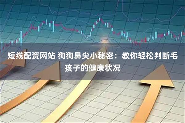 短线配资网站 狗狗鼻尖小秘密：教你轻松判断毛孩子的健康状况